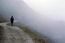 Nebel