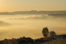 Nebel