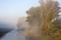 Nebel