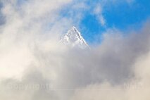Nebel
