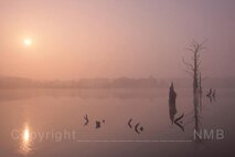 Nebel