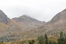 Nebel