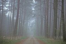 Nebel