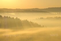 Nebel
