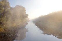 Nebel