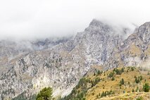 Nebel