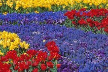 Frühling