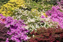 Frühling