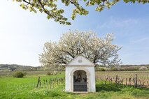 Frühling