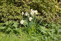 Frühling